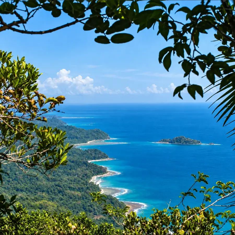 Forest-framed view over the northern coastline, Diglipur