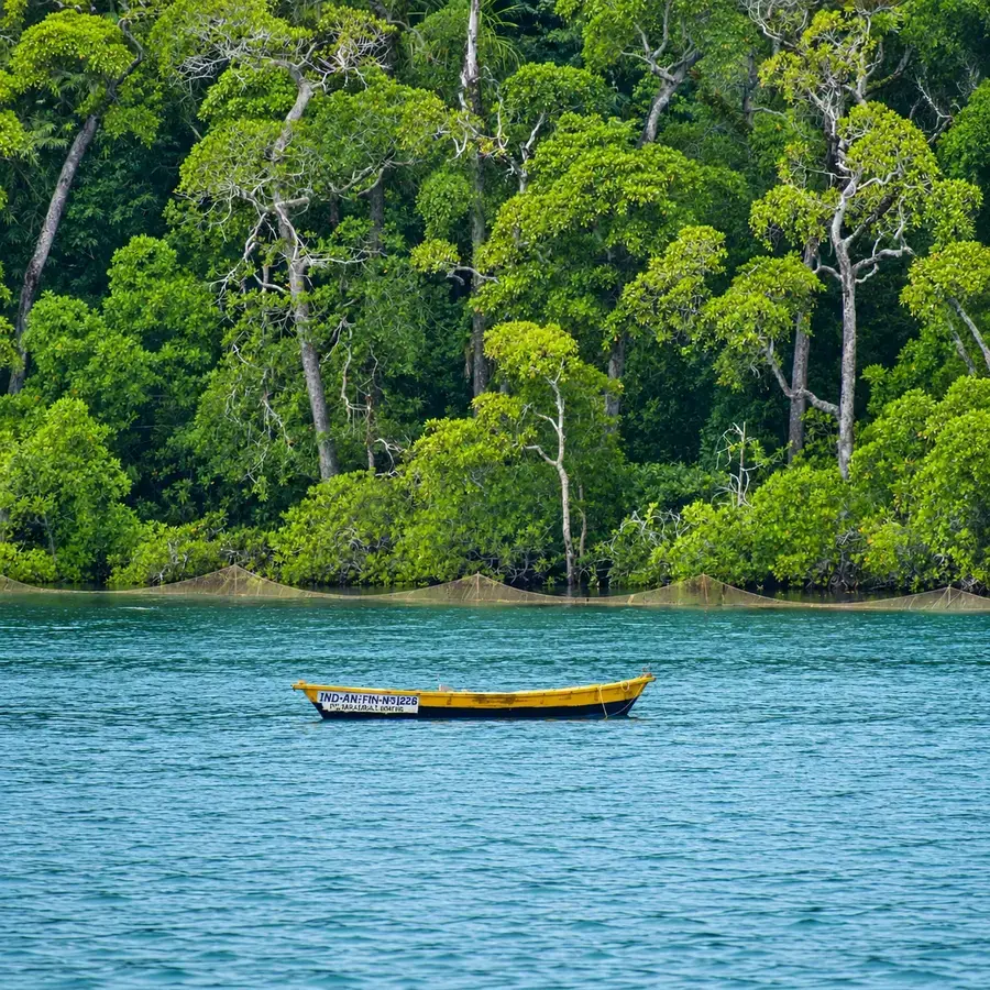 A fishing boat along the mangrove-lined creek, Diglipur