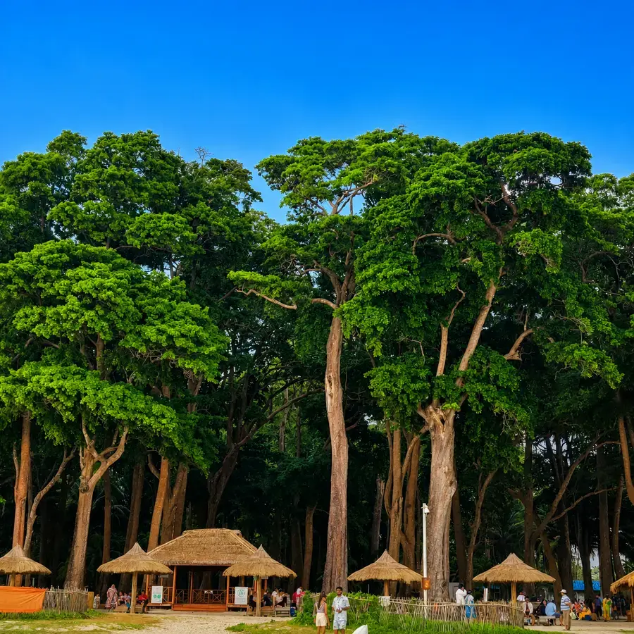 Shaded beach shacks under the island's trees, Swaraj Dweep (Havelock)