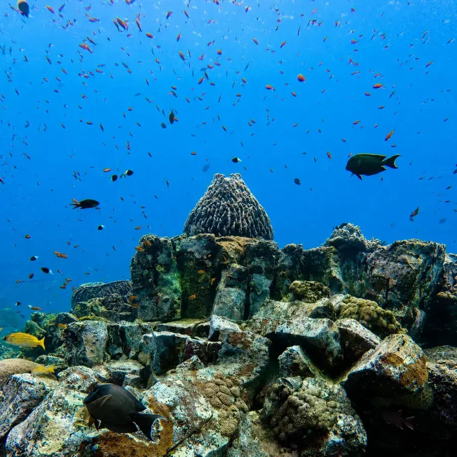 Adventure Tour — 7 Nights / 8 Days — Andaman Islands