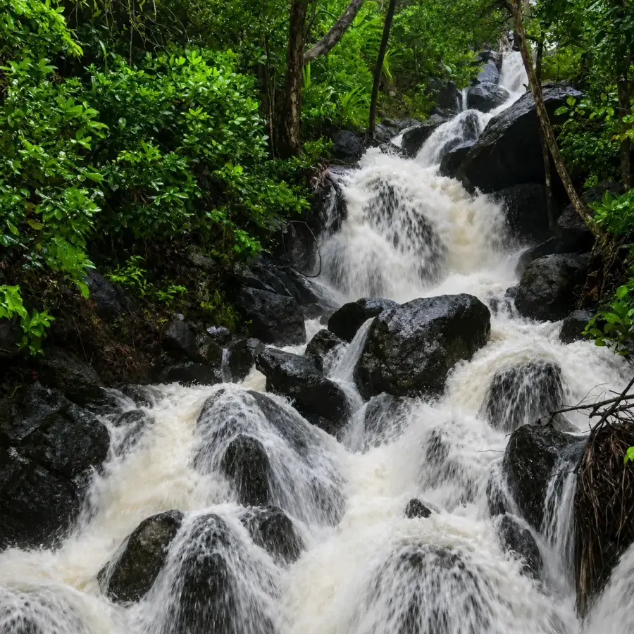 Forest waterfall near Rangat, Rangat