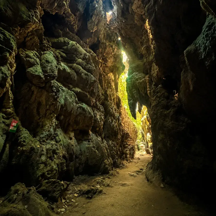 Inside the limestone caves, Baratang