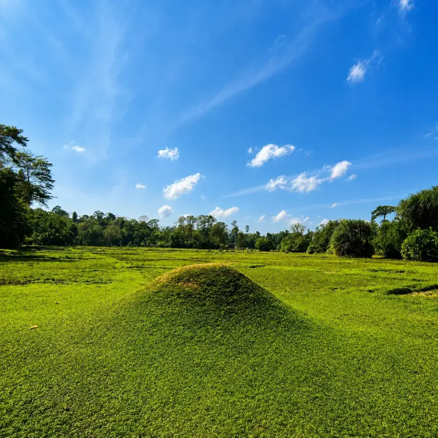 The mud volcano field, Baratang
