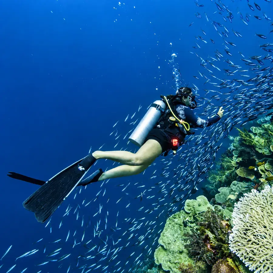 Diving the reefs near Barren Island, Barren Island